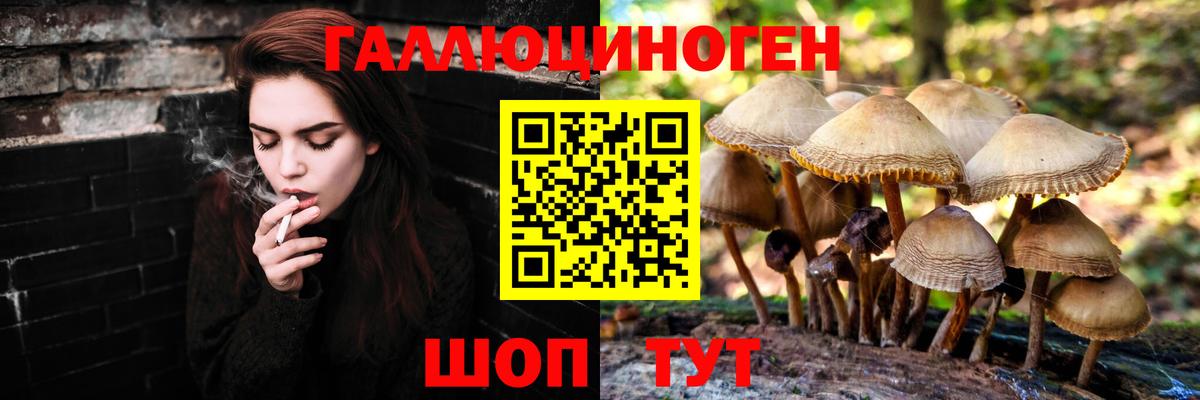 Галлюциногенные грибы Magic Shrooms  Псилоцибиновые грибы мухоморы  где можно купить наркотик  Вход с VPN  Саранск 